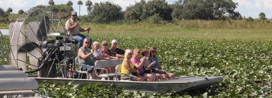 Everglades