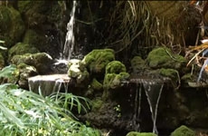Sunken Gardens (St Petersburg)